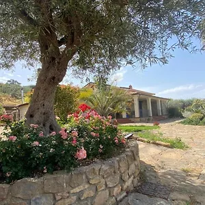 Russo , Caltanissetta Italië